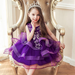 Kid Baby Girl Embroidery Flower Princess Lace Tutu Dresses