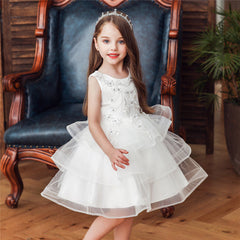 Kid Baby Girl Embroidery Flower Princess Lace Tutu Dresses