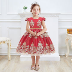 Kid Baby Girls Princess Embroidery Chirstmas Birthday Party Dress