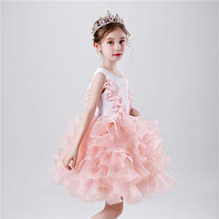 Kid Baby Girls Princess Tutu Dress Lace Applique Elegant Party Dress