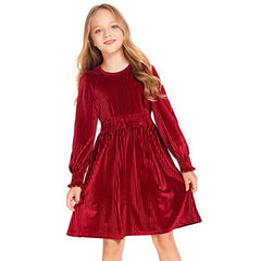 Kid Girl Long Sleeve Velvet Autumn Winter Retro Princess Dresses