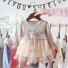 Baby Gir Party Casual Mesh Dresses 3-24 Months