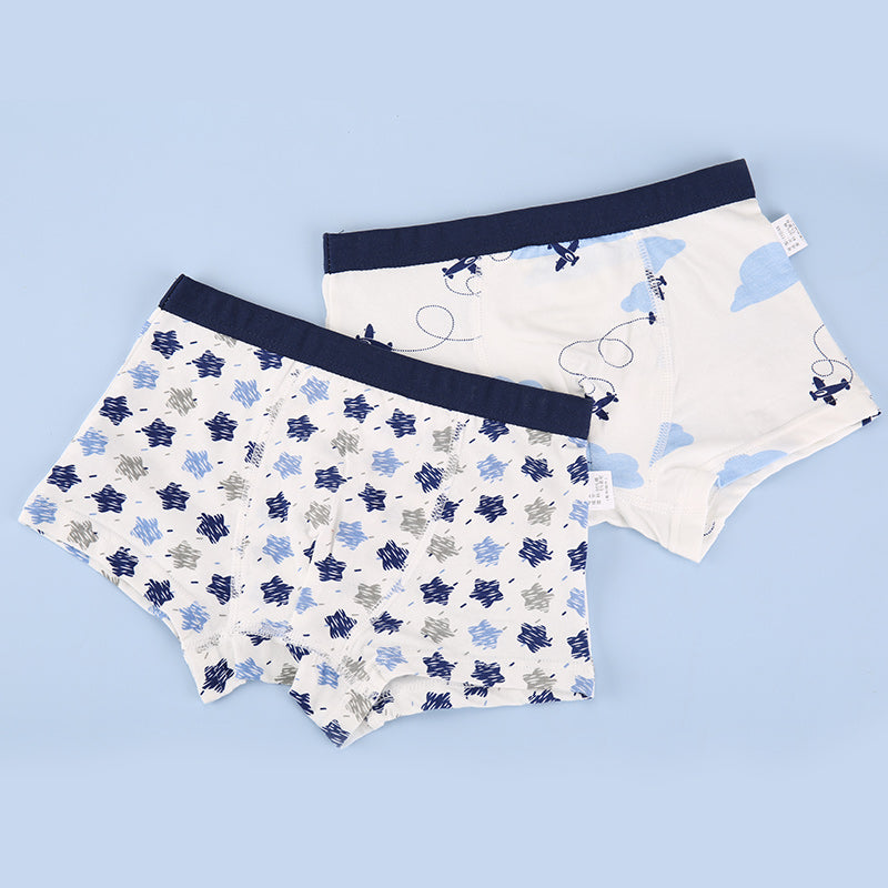 Kid Boys Underwear Cotton Cartoon Briefs Soft Boxers 2 Pieces/Lot