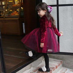 Kid Baby Girls Velvet Party Autumn Ruffle Tulle Casual Dresses