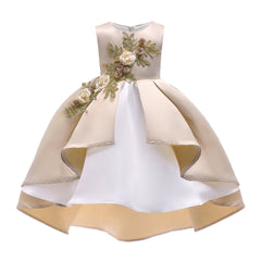 Kid Girl INS Show Embroidered Princess Dress