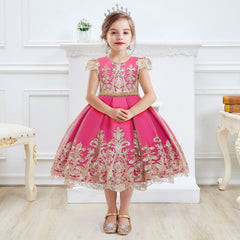 Kid Baby Girls Princess Embroidery Chirstmas Birthday Party Dress
