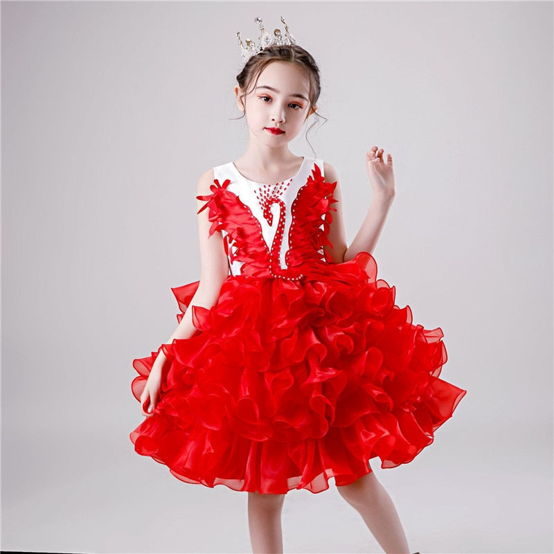 Kid Baby Girls Princess Tutu Dress Lace Applique Elegant Party Dress