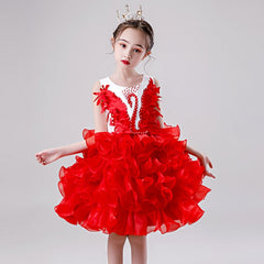 Kid Baby Girls Princess Tutu Dress Lace Applique Elegant Party Dress