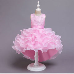 Kid Girls Party Wedding Beaded Embroidery Princess Formal Dress
