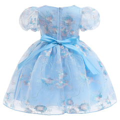 Kid Baby Girls Summer Bubble Sleeve Princess Embroidered Mesh Gown Dresses