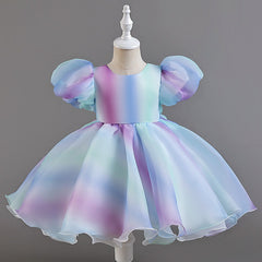 Kid Girl Princess Preschool Rainbow Fluffy Performance Dresses