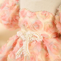 Kid Girl Host Catwalk Wedding Piano Performance Dresses
