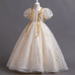 Kid Girl Princess Banquets Piano Performance Dresses