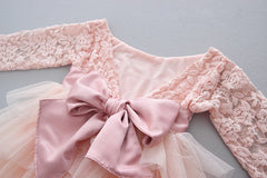 Kid Baby Girl Lace Bow Long Sleeve Cake Spring Dresses