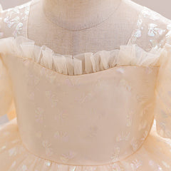 Kid Girl Princess Wedding Birthday Banquet Dresses