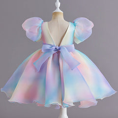 Kid Girl Princess Preschool Rainbow Fluffy Performance Dresses