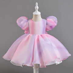 Kid Girl Princess Preschool Rainbow Fluffy Performance Dresses